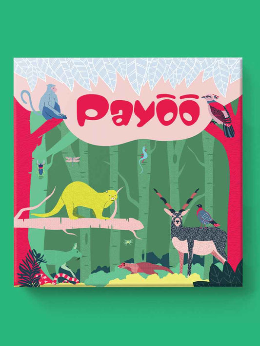 Payoo Visual Matching Card Game by Alchi | Nepali Card Game
