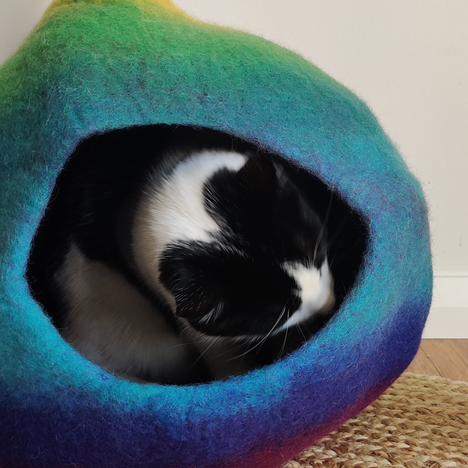Handmade Felt Cat Cave