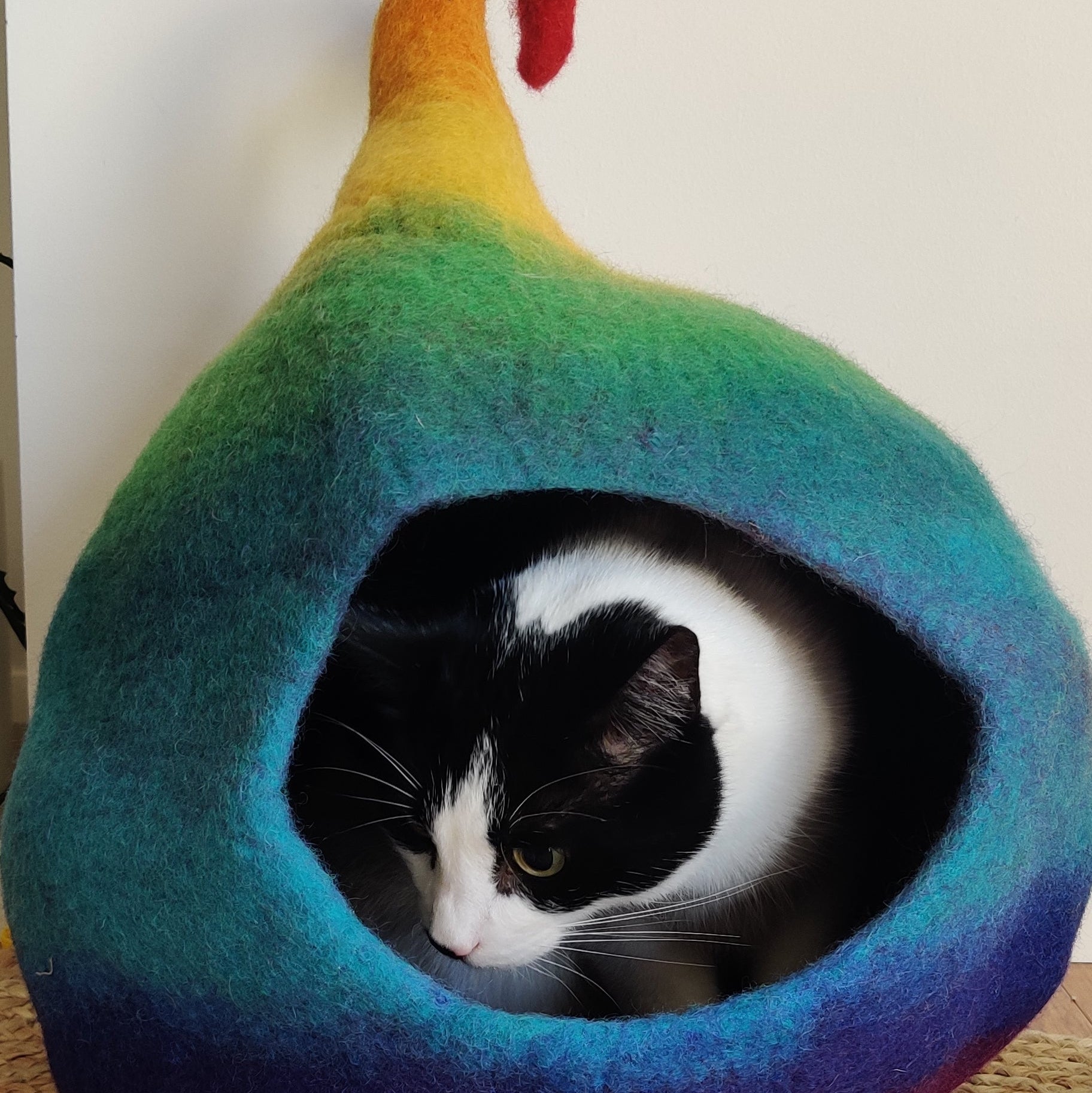 Handmade Felt Cat Cave